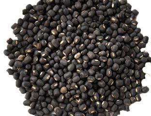 Organic Black Gram, For Cooking, Style : Dried