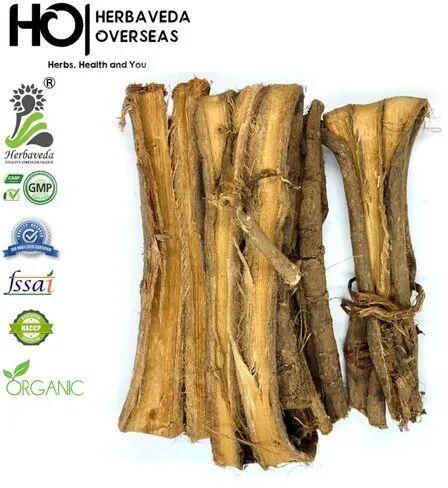 Dhandhasa Datun, Packaging Type : Packet