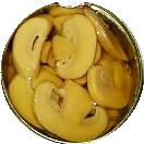 Canned Mushroom Slice, Style : SLICED
