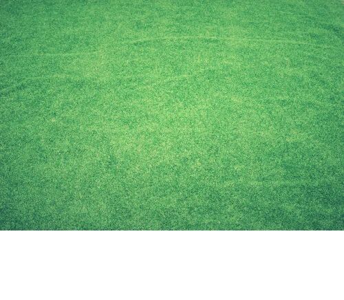 PVC Artificial Grass Carpet, Color : Green