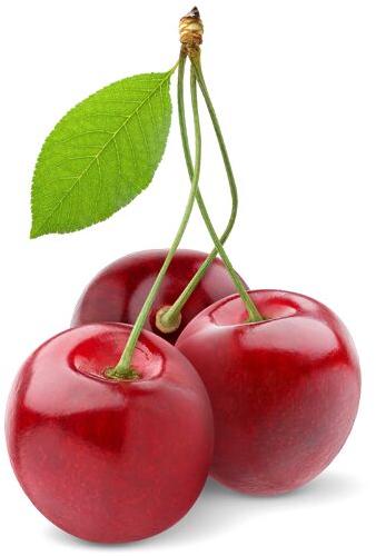 Cherry, Variety : Fresh