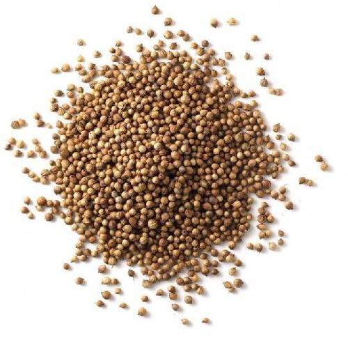 Organic Coriander Seads, Color : Brown