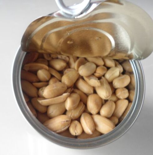 Canned Roasted and Salted Peanuts Kernels for Direct Consumption