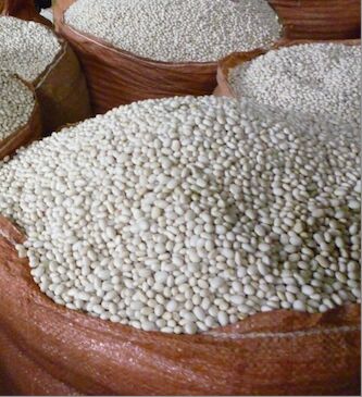 White kidney beans, Packaging Type : Bag Or Can