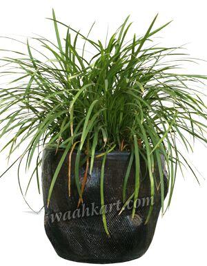 Spotted Planter, Color : Light Green