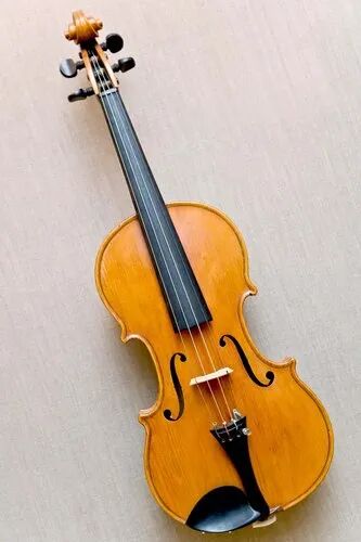 Plain Wooden Violin, Color : Tan Black