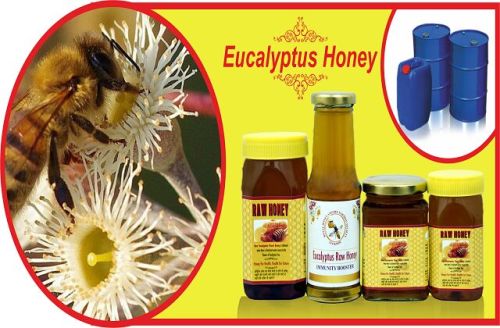 Eucalyptus Raw Honey