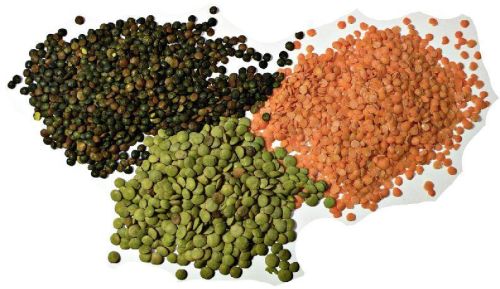 Common Whole Lentils, For Cooking, Packaging Size : 10kg, 15kg, 25kg, 50kg, Etc