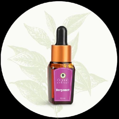 Bergamot Essential Oil (10 Ml) - Organic Harvest