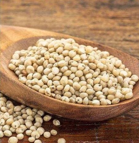 Jowar Seeds, For Cattle Feed, Cooking, Style : Dried