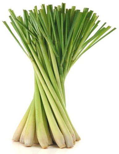 Organic Lemongrass, Style : Fresh