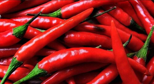 Fresh Red Chilli, Application : Natural Coloring, Gravies, Powders