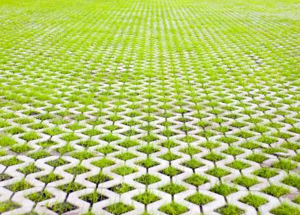 Grass Pavers