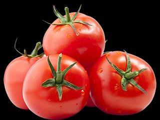 Organic Fresh Tomato, For Cooking, Packaging Size : 5-20kg