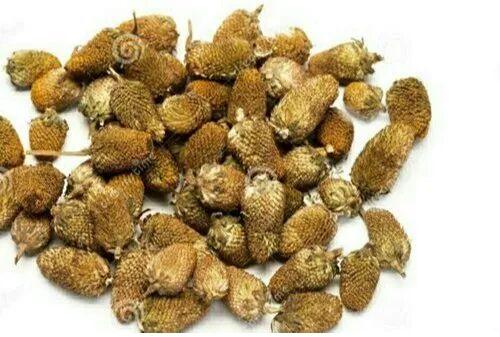 Akarkara Seeds, Type:seed