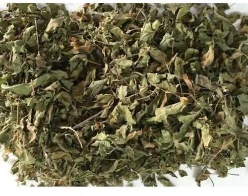 Dried Tulsi Leaves, Packaging Type : PP Bag