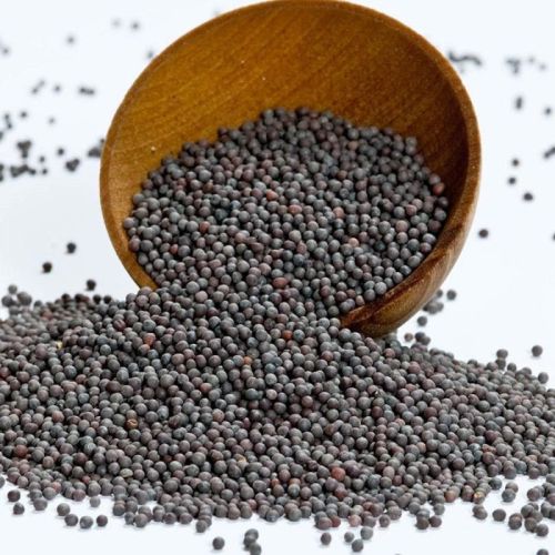 Organic Black Mustard Seeds, Shelf Life : 6 Month