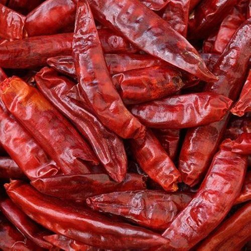 Organic Dried Red Chilli, Specialities : Good Quality, Rich In Taste