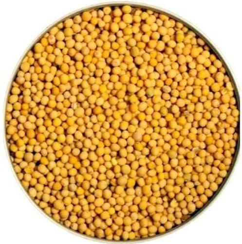 Natural Yellow Mustard Seeds, For Cooking, Certification : FSSAI Certified