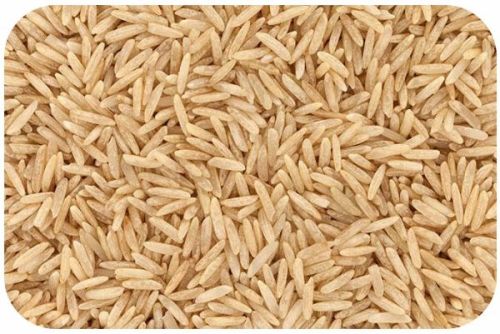 Organic Brown Basmati Rice, Style : Fresh