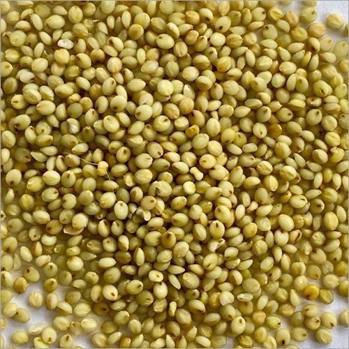 Organic Browntop Millet, Packaging Type : Plastic Bag