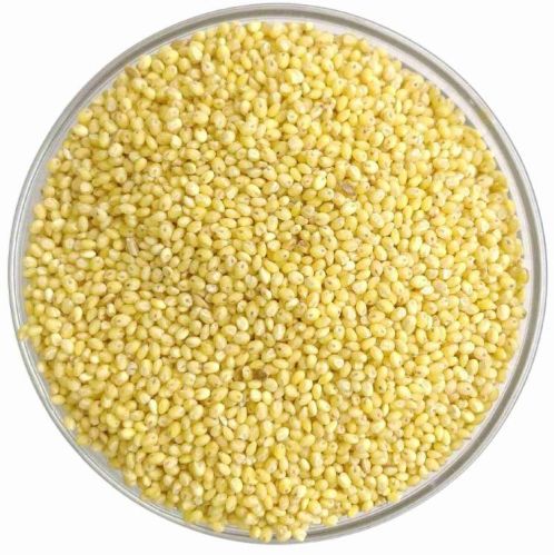 Natural Proso Millet, For Cooking, Packaging Type : Plastic Bag