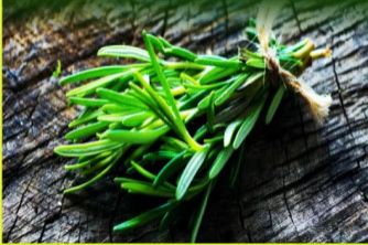 Pure Rosemary Oil, For Personal Care, Aromatherapy, Packaging Size : Customized