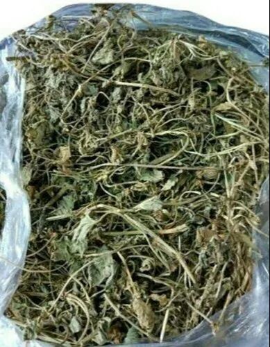 Dry Bhringraj Leaves, Packaging Size : 10 Kg