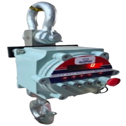GOLDFIELD Flameproof Crane Scale, For Industrial