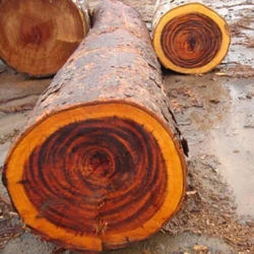 Rose Wood Round Log, Color : Brown