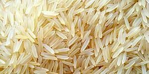 Hard Pusa Basmati Rice, Packaging Type : Jute Bags, PP Bags, Plastic Bags