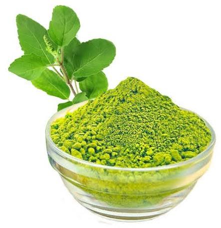 Green Organic Tulsi Powder, For Cosmetic Products, Packaging Type : Plastic Pack