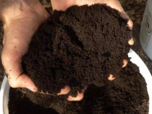 Organic vermicompost, Packaging Type : Dark-brown