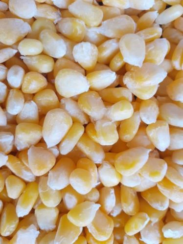 Maruti Agrofresh Common Frozen Sweet Corn Kernels, Color : Yellow
