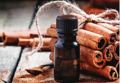 Dark Brownish Liquid Barks Cinnamon Essential Oil, For Medicine Etc, Shelf Life : 24 Month