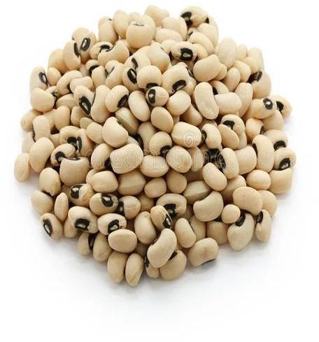 Common Black Eyed Beans, For Cooking, Certification : FSSAI Certified