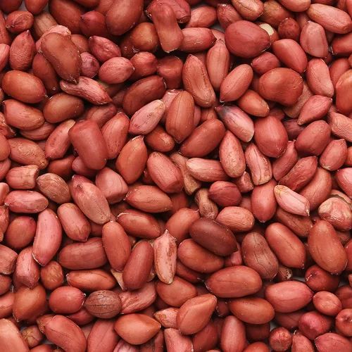 Organic Groundnut Seeds, For Cooking, Food, Style : Natural