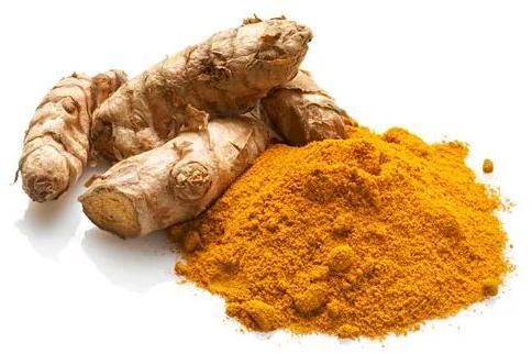 Common Turmeric Powder, Color : Yellow