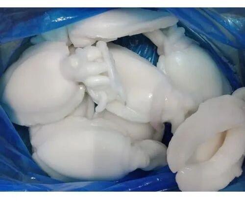 Frozen Cuttlefish, Packaging Type : Bag Or Block