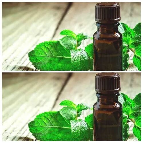 Peppermint Oil, Packaging Type : Bottle