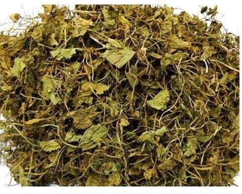 Brahmi Dried Leaves, Packaging Type : JUTE BAG