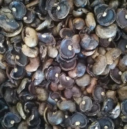 Cashew Nut Shells, For Cattle Feed, Style : Dried