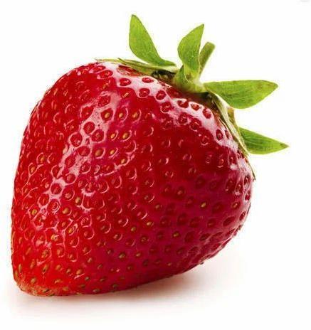 Organic Fresh Strawberry, Freezing Process : Cold Storage