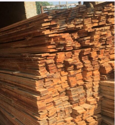 Polished Plain Eucalyptus Wood Logs, Feature : Accurate Dimension, Quality Tested, Termite Proof