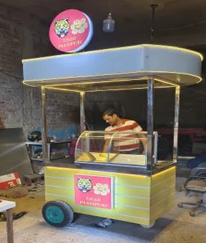 Stainless Steel Portable Golgappa Food Cart, Color : Silver