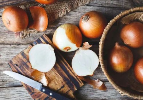 Oval-round Natural Yellow Onion, For Cooking, Enhance The Flavour, Human Consumption, Style : Fresh