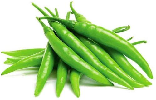 Natural Green Chilli, For Human Consumption, Cooking, Packaging Type : Bag