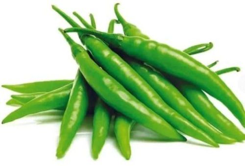 Round Organic Fresh Green Chilli, For Human Consumption, Cooking, Home, Packaging Size : 20kg, 25kg