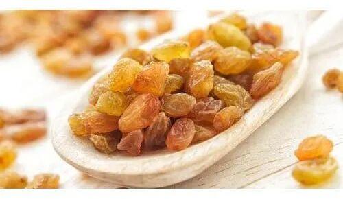 Golden Dry Raisins, Packaging Type : Packet