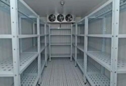 Electric Automatic Frozen Cold Storage Services, Feature : Low Maintenance Cost, Proper Functioning
